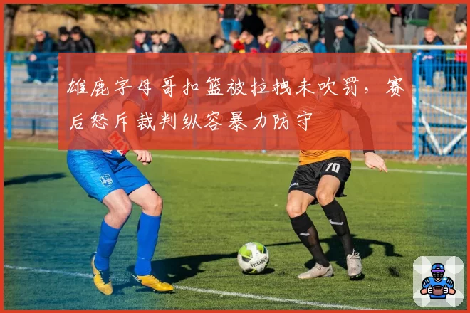 雄鹿字母哥扣篮被拉拽未吹罚，赛后怒斥裁判纵容暴力防守